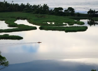 Early morning kayaker